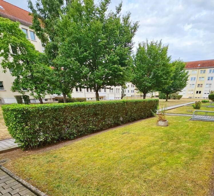 Ferienwohnung Weißenfels Εξωτερικό φωτογραφία